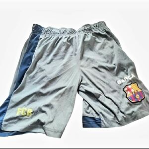 Gray and Navy Athletic Men's Shorts